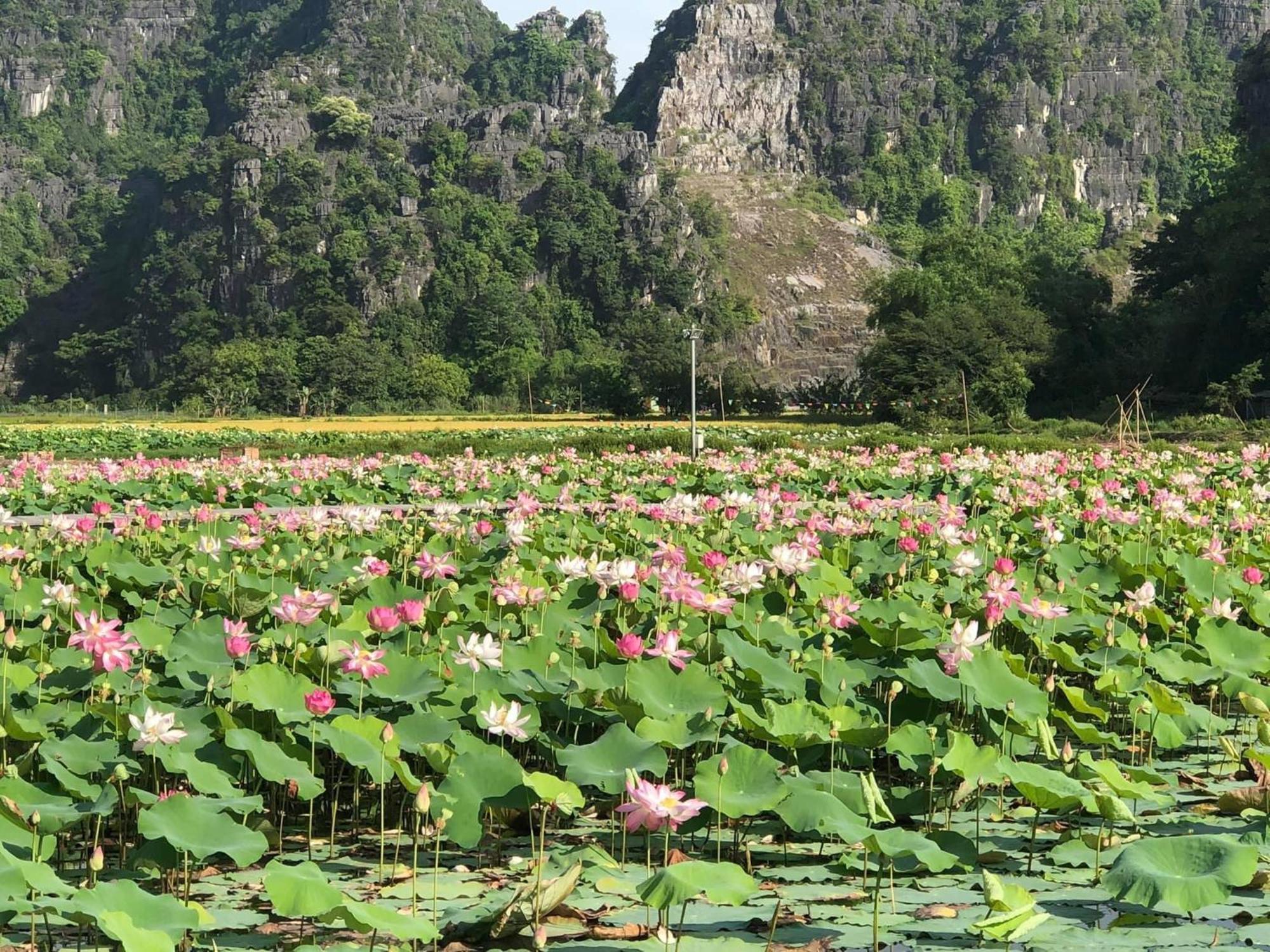Tam Coc - Thanh Homestay Ninh Binh Buitenkant foto