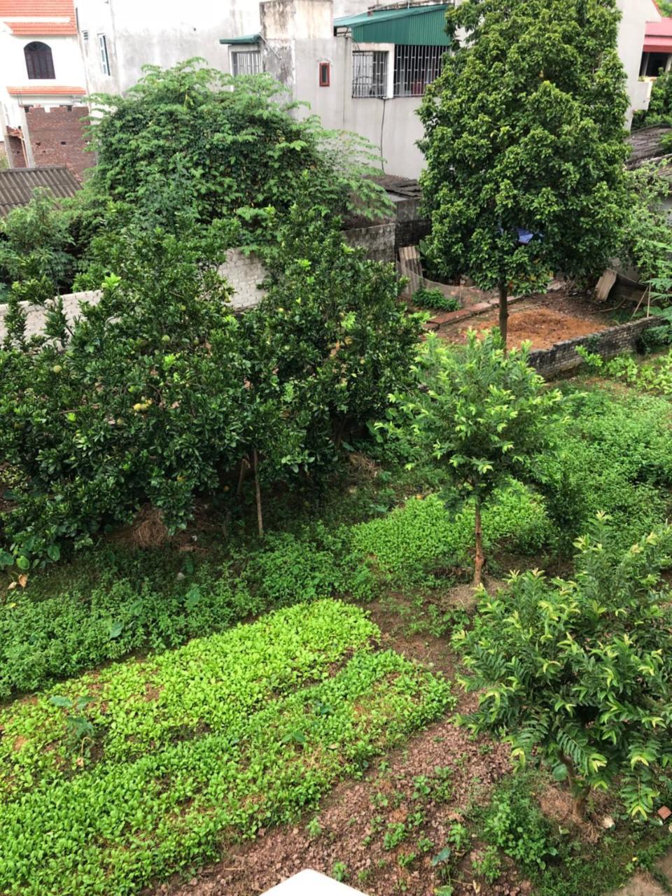 Tam Coc - Thanh Homestay Ninh Binh Buitenkant foto